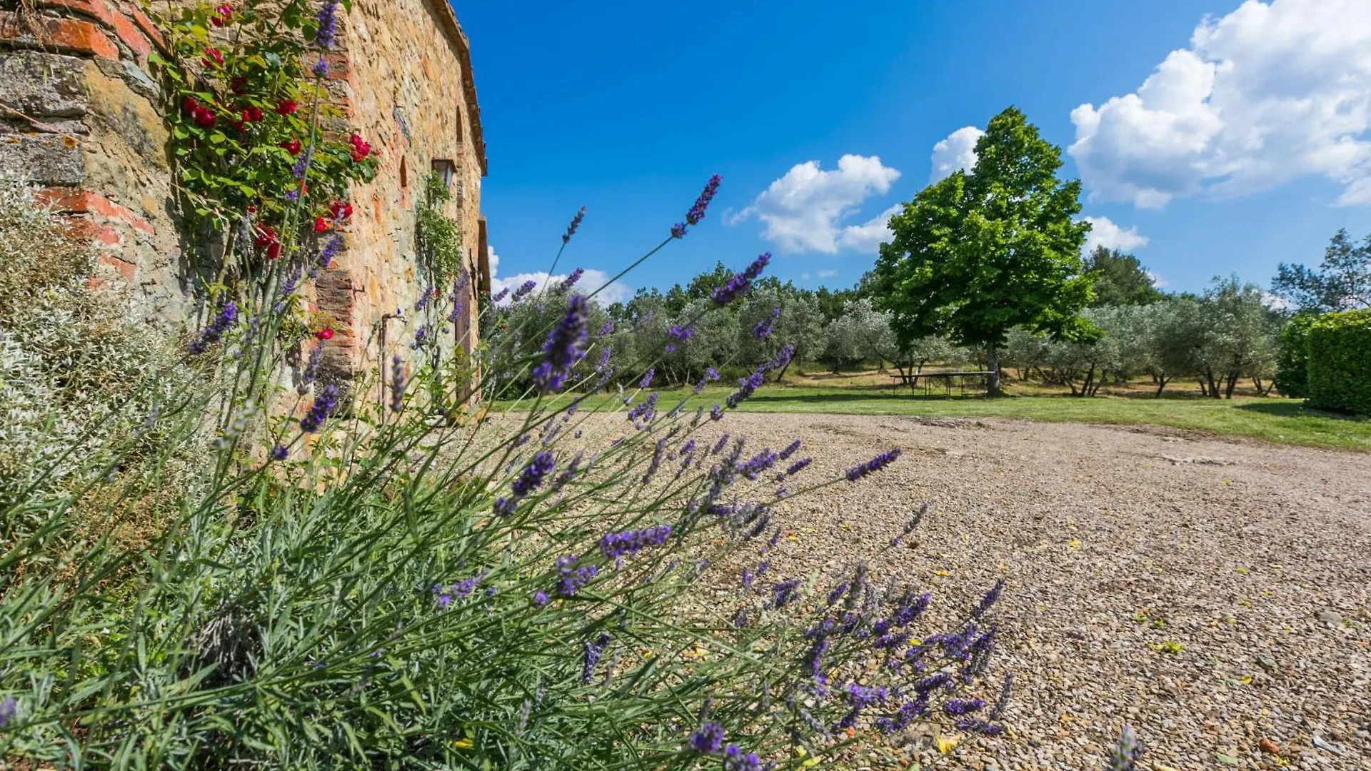 Holiday Home Il Laghetto By Interhome Pergine Valdarno Italy